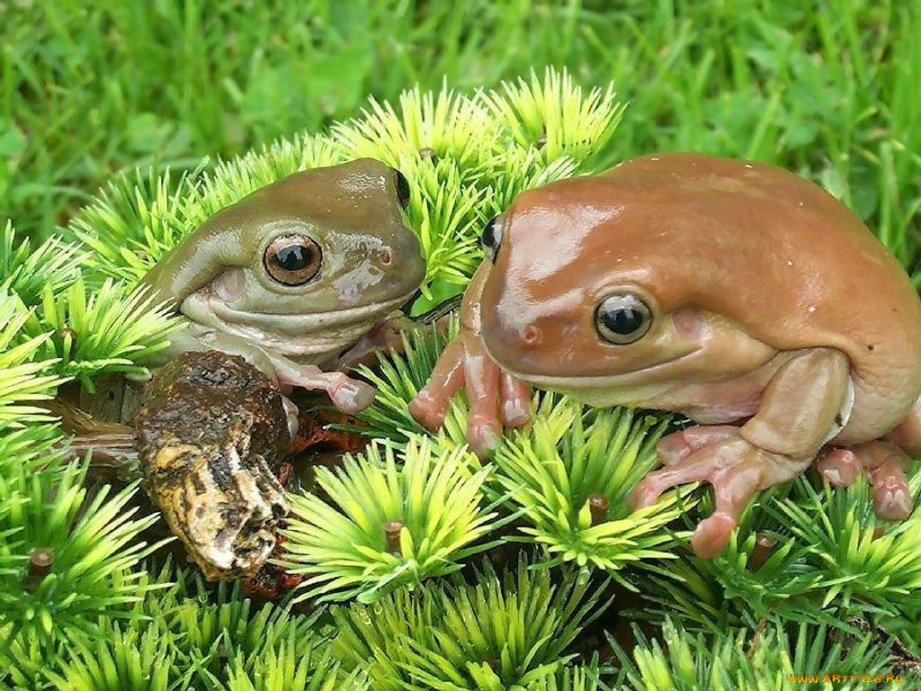 , 